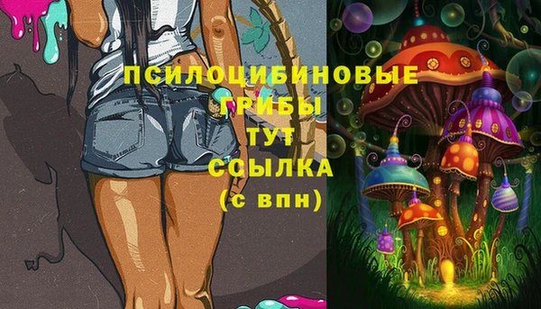 герыч Алексин