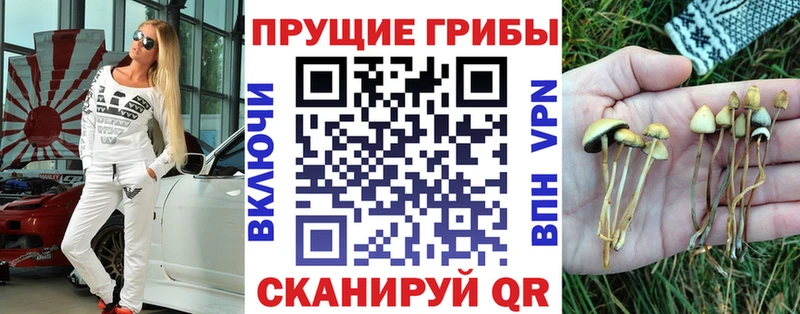 Псилоцибиновые грибы Psilocybe  мориарти клад  Мамоново 